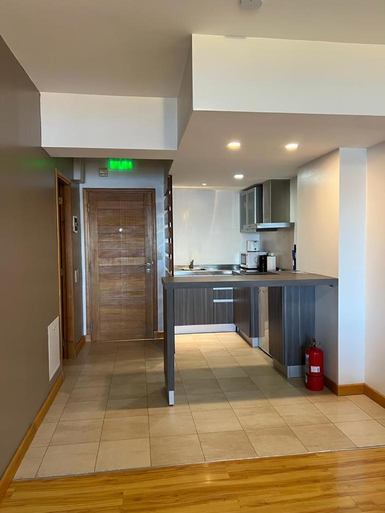 Polo Sur Apartamentos Ushuaïa Extérieur photo